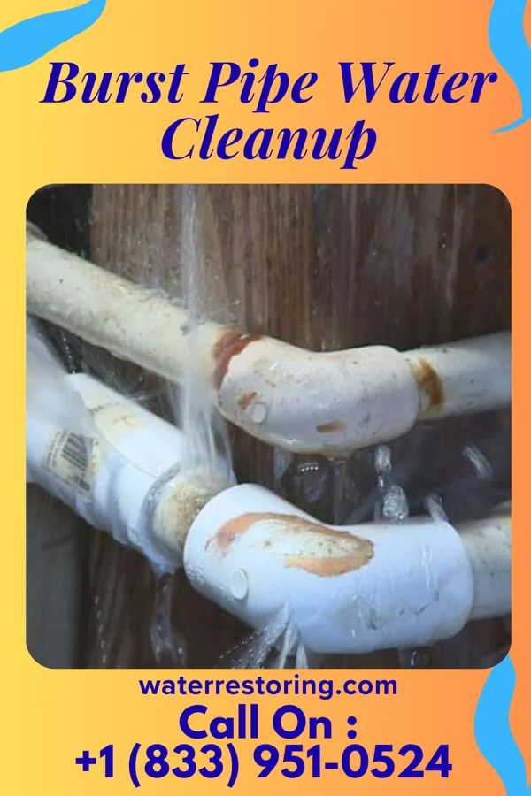 Burst Pipe Water Cleanup in Rolling Hills, WY