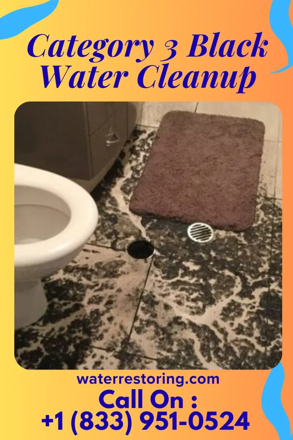 Category 3 Black Water Cleanup in Rolling Hills, WY