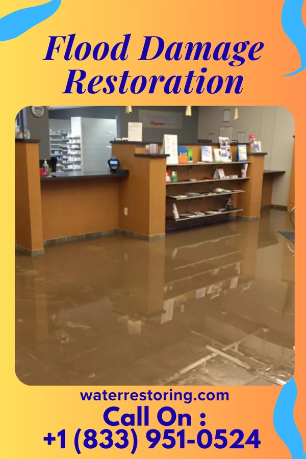 Flood Damage Restoration in Rolling Hills, WY